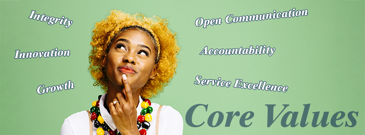 Core Values: Integrity, Innovation, Growth, Open Communication, Accountability, Service Excellence